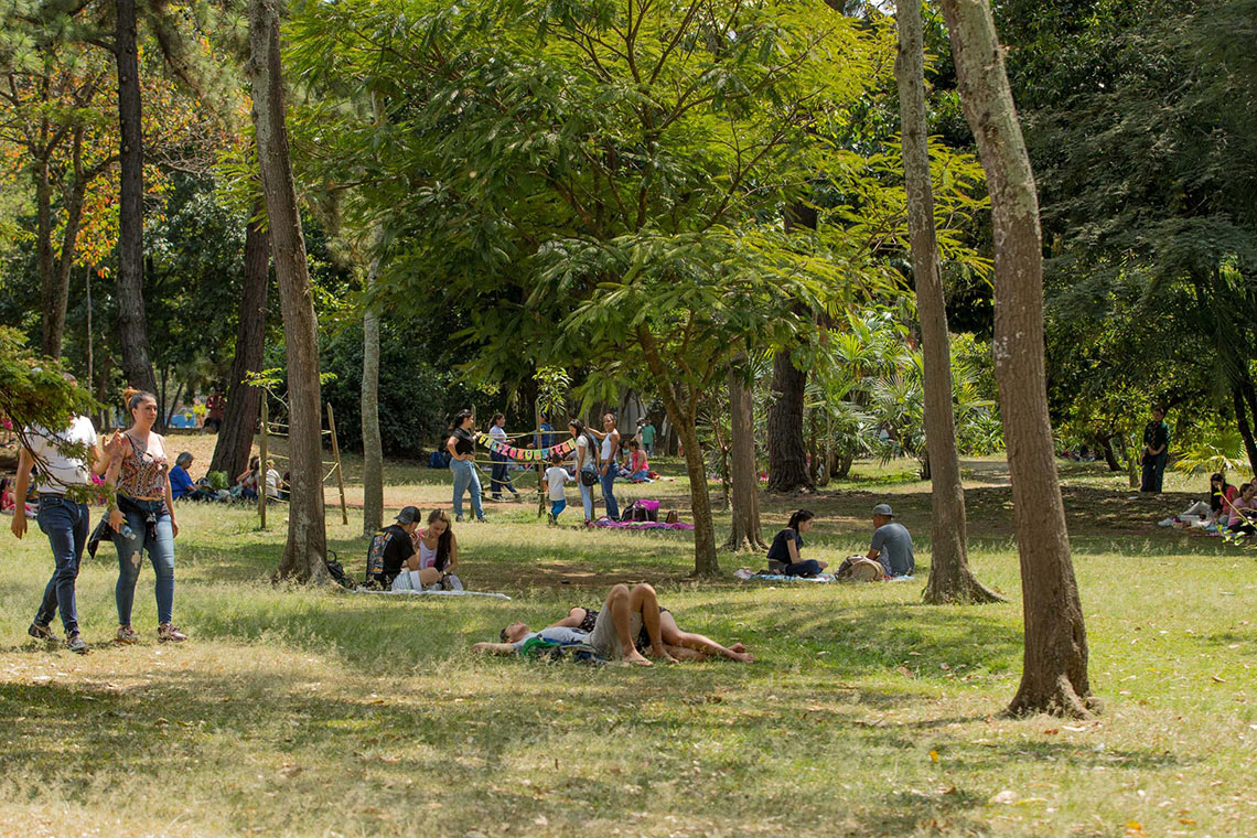 Jardín Botánico